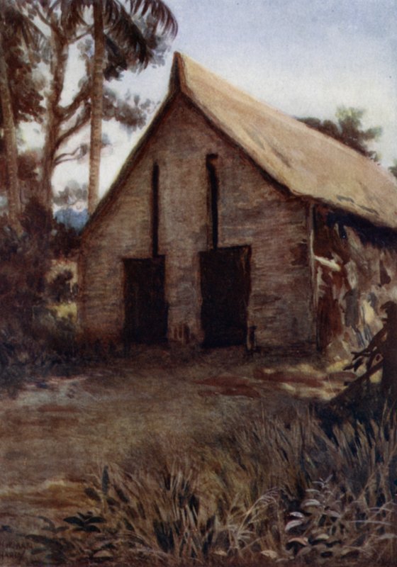 Válečný dům kánoí staré Ingovy, laguna Rubiana, Nová Georgia, Šalamounovy ostrovy (barevné lito) od Norman Hardy
