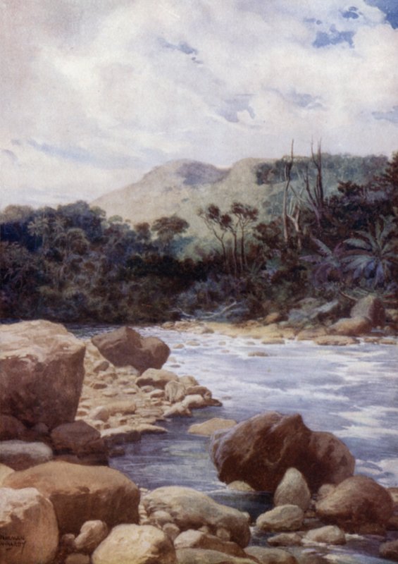 Závěsný od Norman Hardy