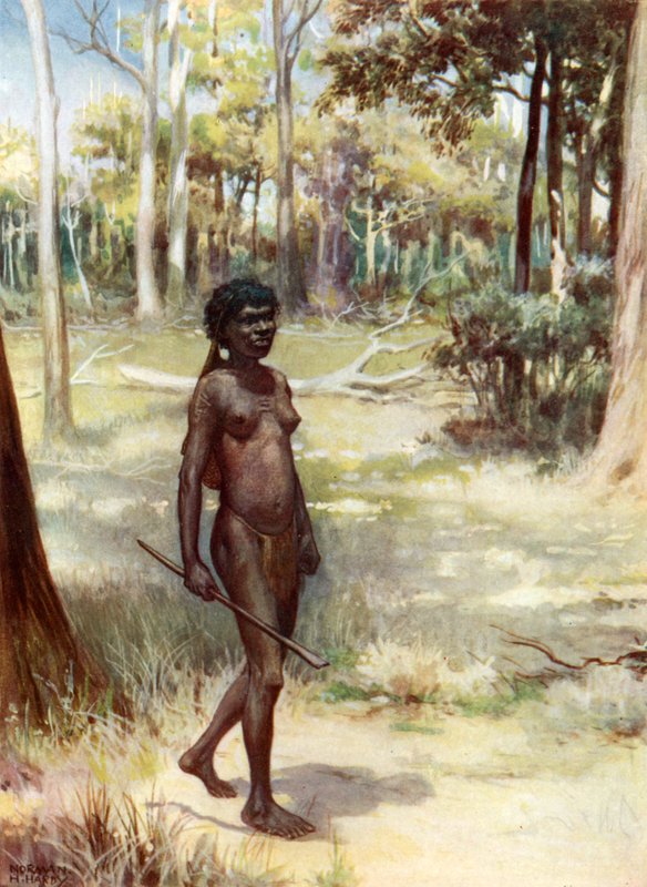 Žena z Queenslandu:  od Norman Hardy