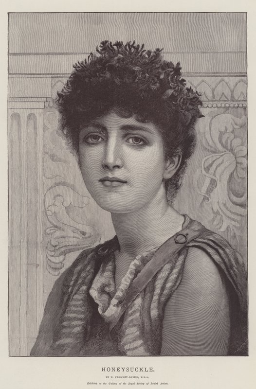 Zimolez od Norman Prescott Davies