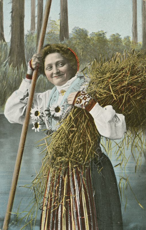Norská dívka během sklizně (barevné foto) od Norwegian Photographer