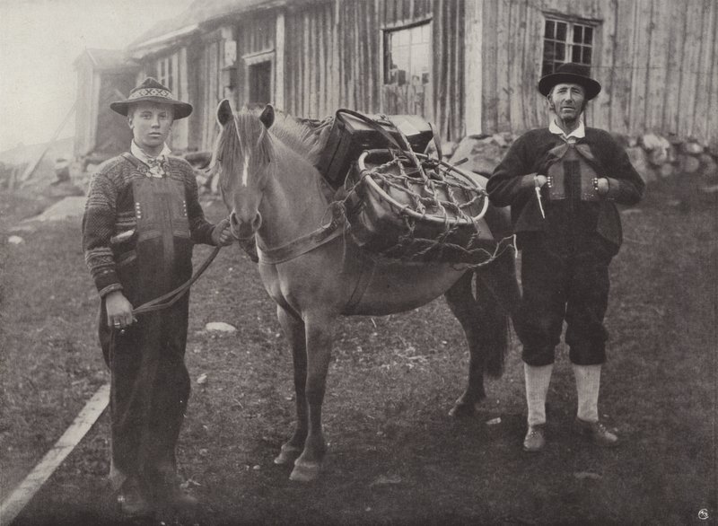 Saetersdalen Highlanders s Pack-Horse od Norwegian Photographer