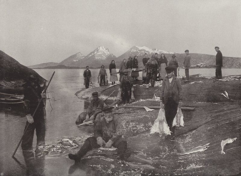 Mytí Klip-fish od Norwegian Photographer