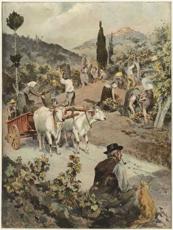 Vintage sezóna v Itálii od Oswaldo Tofani