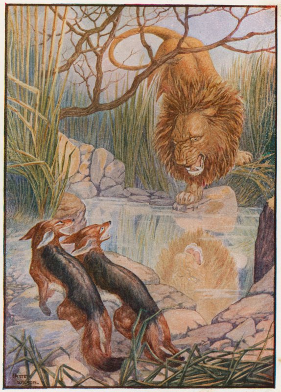 Z vody se na něj podívala lví tvář (barva litho) od Patten Wilson