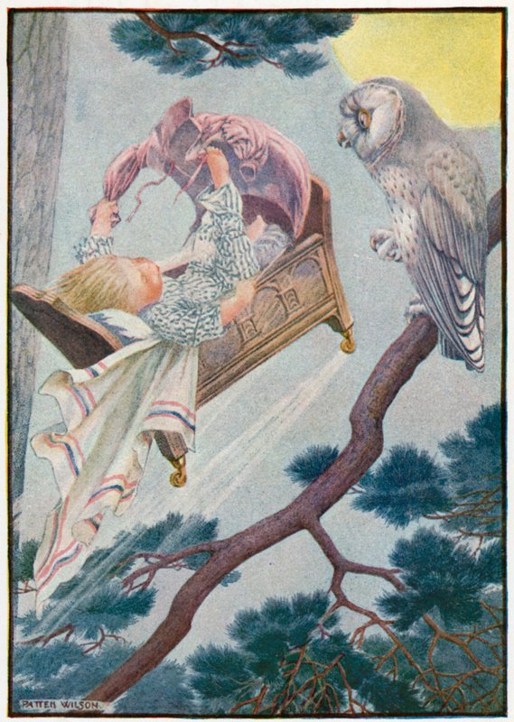 Malý jack rollaround (barva litho) od Patten Wilson