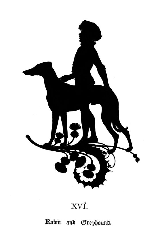 Robin a Greyhound od Paul Konewka