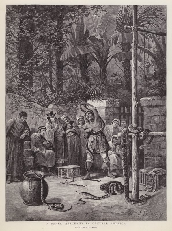 Obchodník s hady ve Střední Americe (litho) od Paul Frenzeny