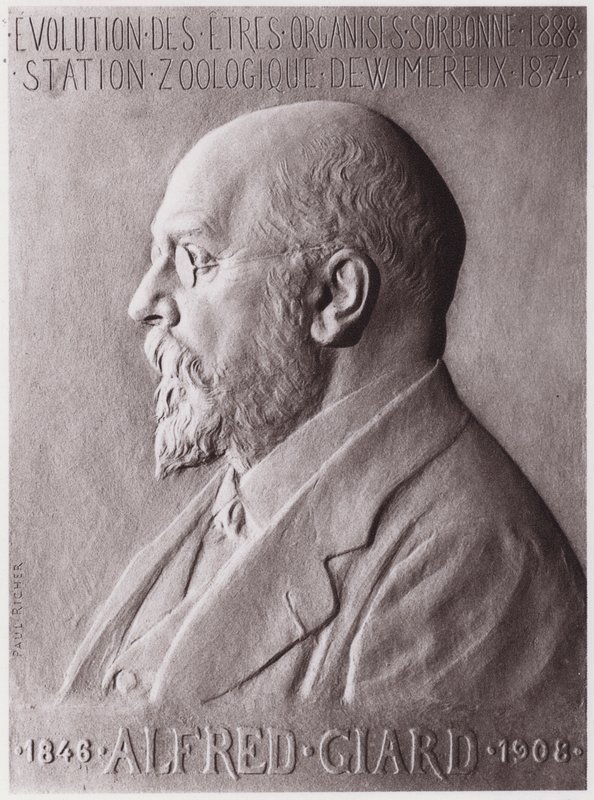Alfred Giard (1846-1908), zoolog, portrét (litho) od Paul Marie Louis Pierre Richer