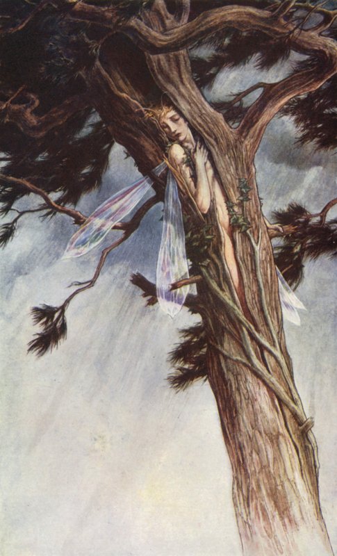 Bouře od Williama Shakespeara, dějství I, scéna 2 (barevné lito) od Paul Vincent Woodroffe
