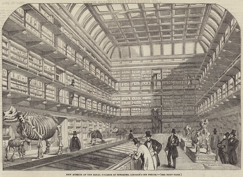 Nové muzeum Royal College of Surgeons, Lincoln