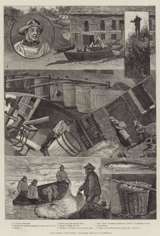 Náš rybářský průmysl, lov Pilchard Seining v Cornwallu od Percy Robert Craft