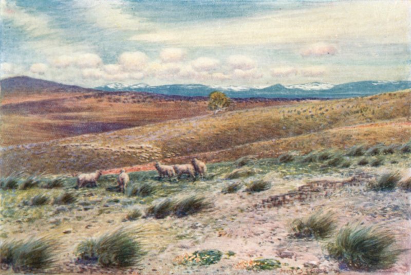 Závěsný od Percy F.S. (after) Spence