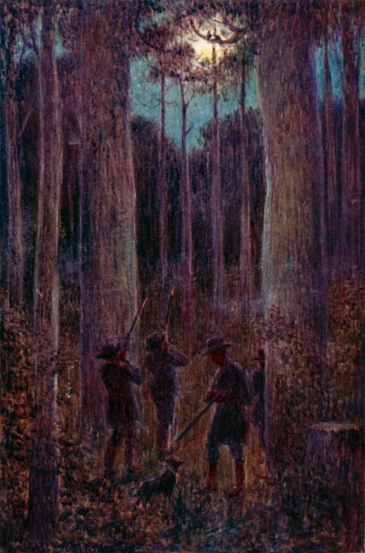 Australský les v noci, "měsíční" vačice (barva litho) od Percy F.S. (after) Spence