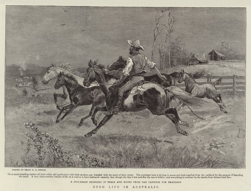 Bush Life v Austrálii od Percy F.S. Spence