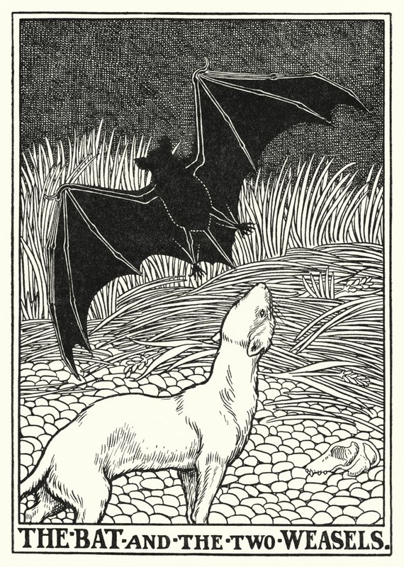 Bajky La Fontaine: Netopýr a dvě lasičky (litho) od Percy James Billinghurst