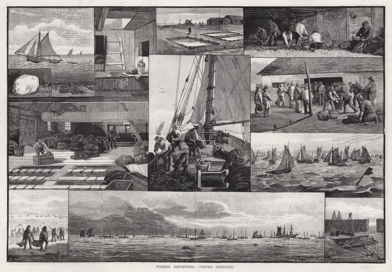 Fishing Industries, Bagrování ústřic (rytí) od Percy Robert Craft
