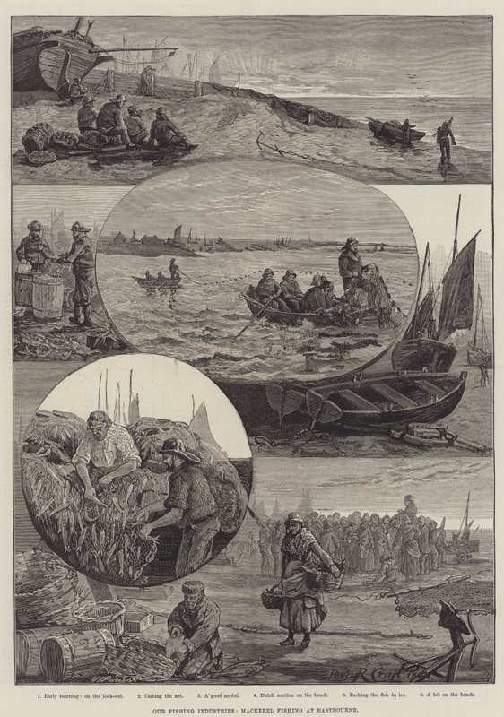 Náš rybářský průmysl, Lov makrel v Eastbourne (rytina) od Percy Robert Craft