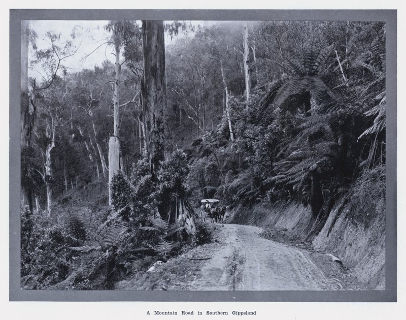 Horská cesta v jižním Gippslandu (černobílá fotografie) od Photographer Australian