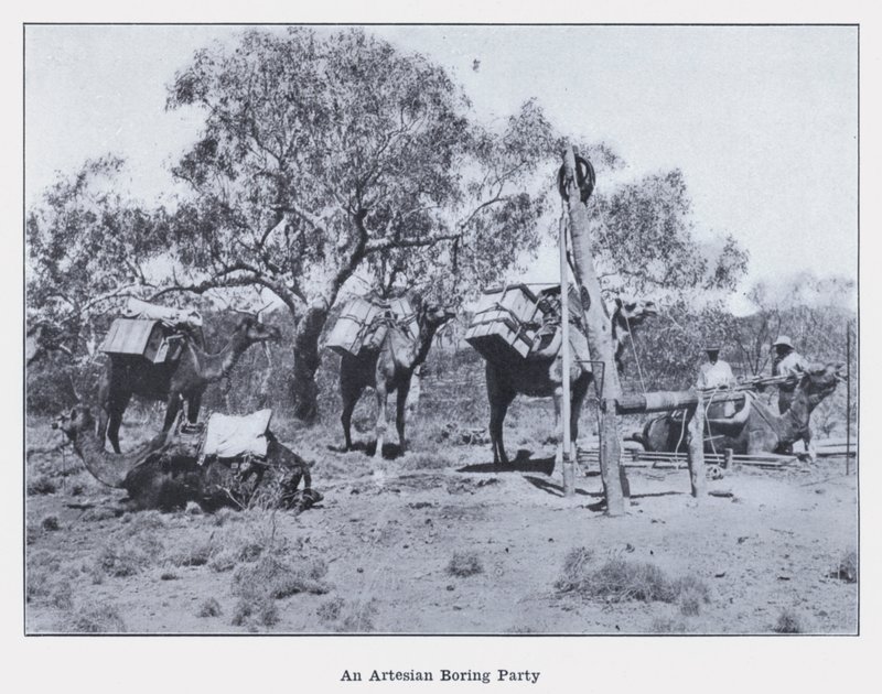 Artéská nudná párty (černobílá fotografie) od Photographer Australian