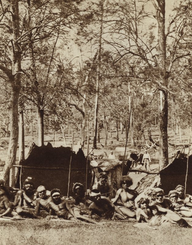 Australští domorodci se skrývají za větrolamem (černobílá fotografie) od Photographer Australian