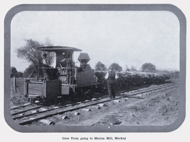 Cane Train jede do Marian Mill, Mackay (č/b foto) od Photographer Australian