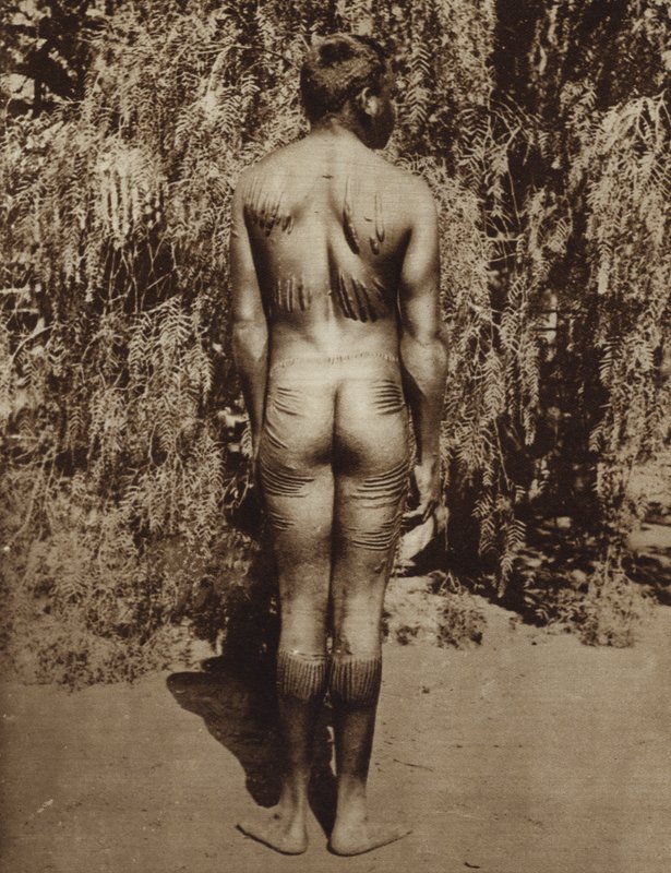Domorodé australské zdobení těla (černobílá fotografie) od Photographer Australian