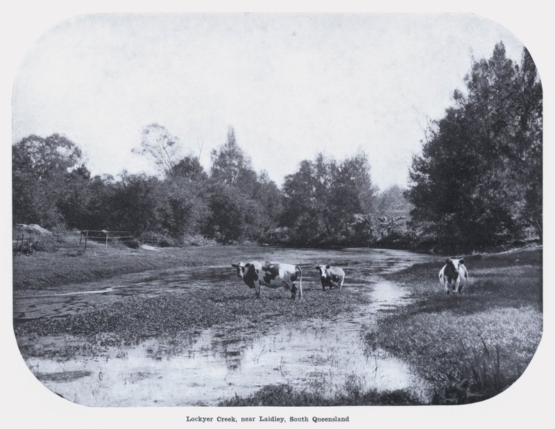 Lockyer Creek, poblíž Laidley, South Queensland (černobílá fotografie) od Photographer Australian