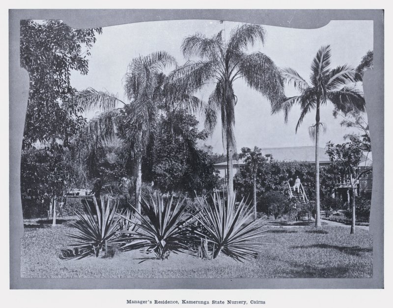 Manažerská rezidence, Státní školka Kamerunga, Cairns (černobílá fotografie) od Photographer Australian