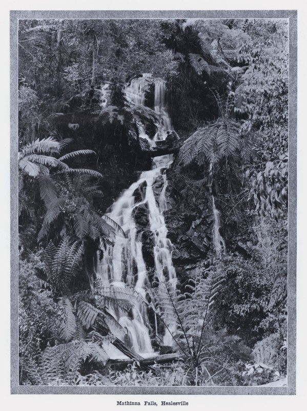 Mathinna Falls, Healesville (černobílá fotografie) od Photographer Australian
