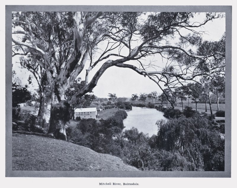 Mitchell River, Bairnsdale (černobílá fotografie) od Photographer Australian
