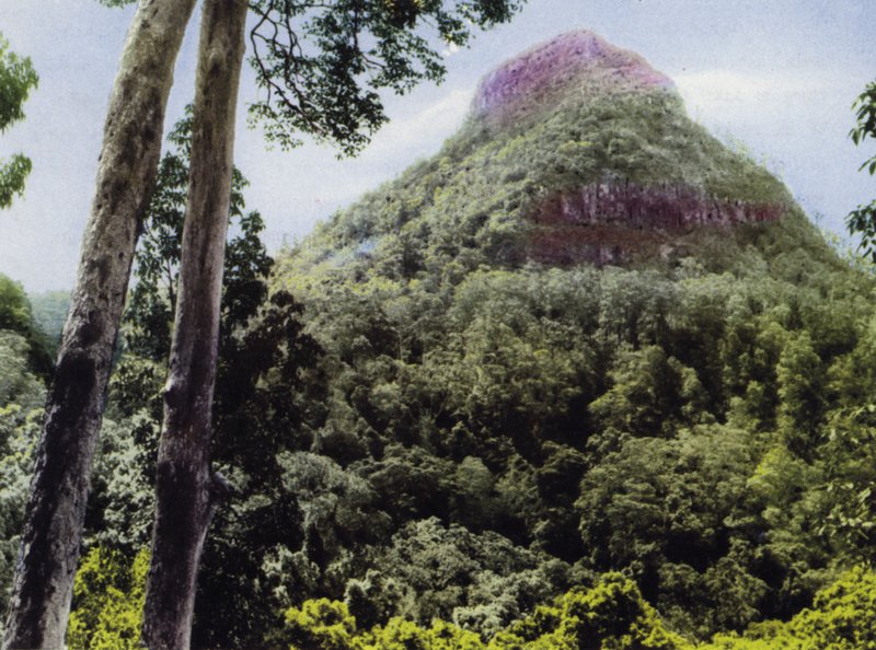 Queensland, Austrálie: Mt Cordeaux (na obrázku) od Photographer Australian