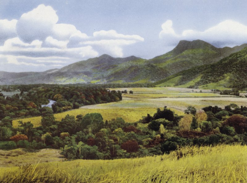 Queensland, Austrálie: Sugar Lands at Mossman (foto) od Photographer Australian