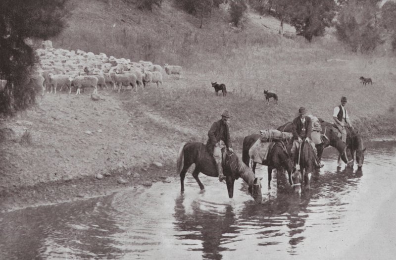 Zbytek, typičtí australští Stockmen (černobílá fotografie) od Photographer Australian