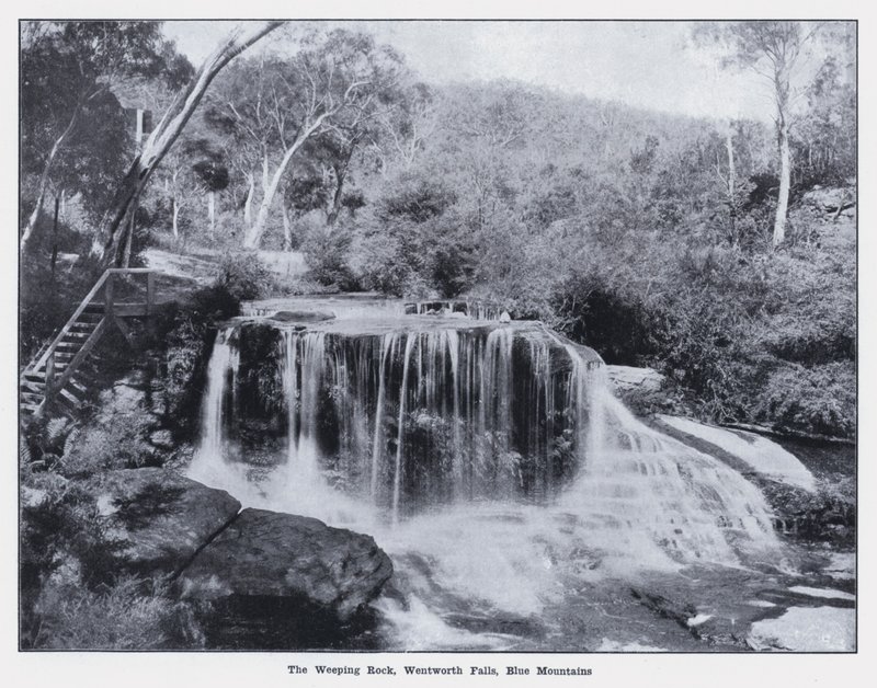 The Weeping Rock, Wentworth Falls, Blue Mountains (černobílá fotografie) od Photographer Australian