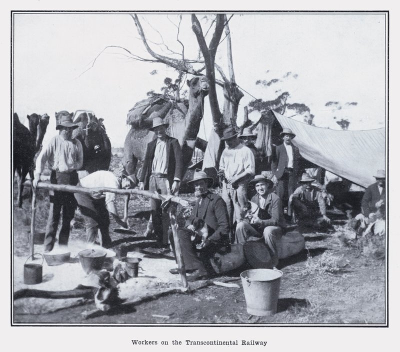 Dělníci na transkontinentální železnici (č/b foto) od Photographer Australian