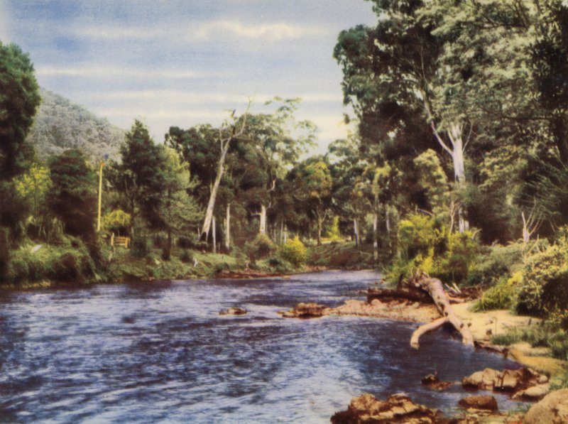 Řeka Yarra (barevná fotografie) od Photographer Australian