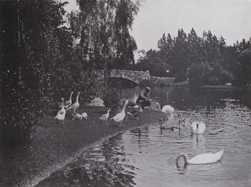 Lake, Beacon Hill Park, Victoria, Britská Kolumbie (černobílá fotografie) od Photographer Canadian