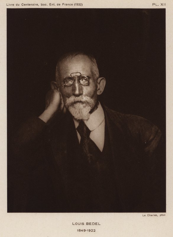 Ernest Marie Louis Bedel, francouzský entomolog (černobílá fotografie) od Photographer French