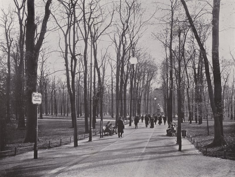V Tiergarten, Ahornsteig (č/b foto) od Photographer German