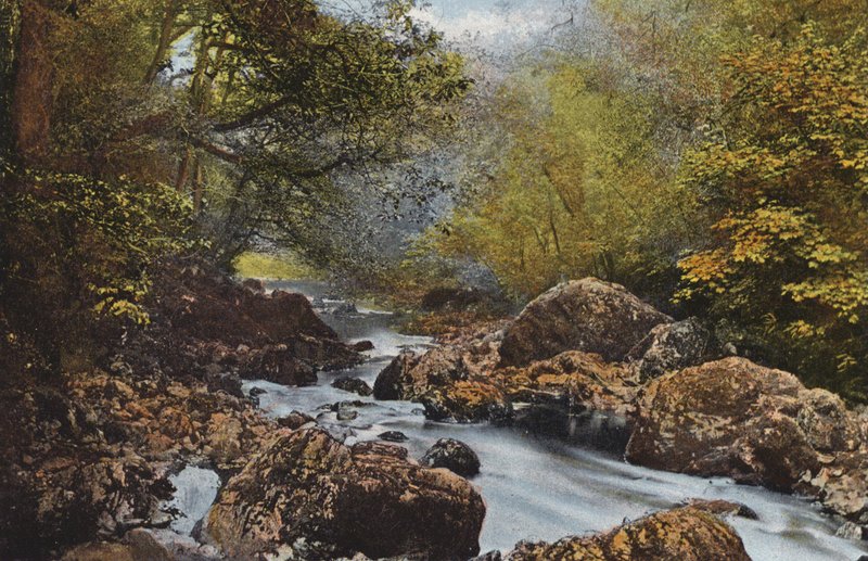 Irsko: V Dargle, hrabství Wicklow (barevné foto) od Photographer Irish