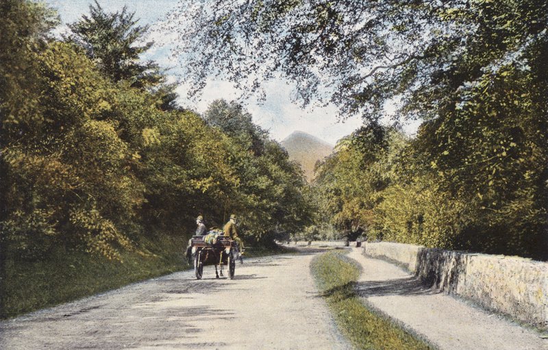 Irsko: The Glen of the Downs, Sugar Loaf Mountain, County Wicklow (barevné foto) od Photographer Irish