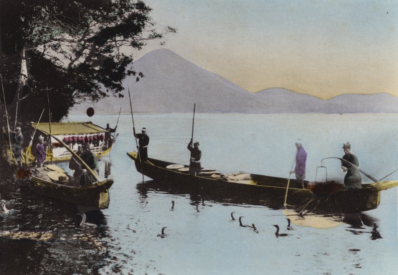 Japonsko, kolem roku 1912: Rybaření s kormoránem, Nagaragawa (foto) od Photographer Japanese