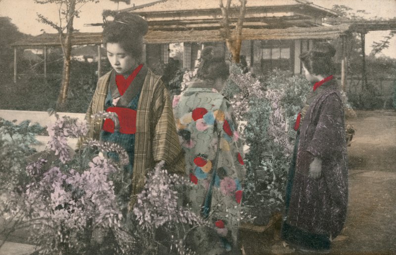 Japonky s rostlinami vistárie (barevné foto) od Photographer Japanese