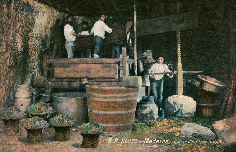 Vinařský lis, Madeira, Portugalsko (č/b fotografie) od Photographer Portuguese