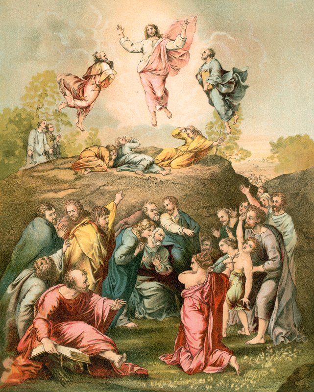 Proměna od Raffaello Sanzio Raphael
