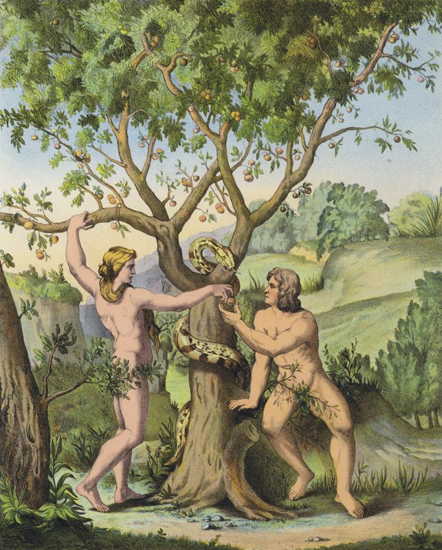 Eva představuje jablko ze stromu poznání dobra a zla Adamovi (barva lito) od after Raphael