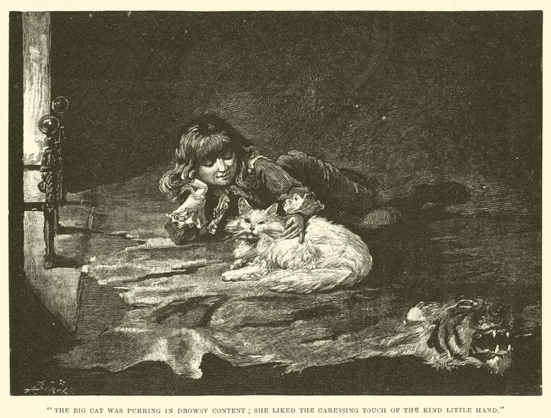 Ilustrace pro Little Lord Fauntleroy od Reginald Bathurst Birch
