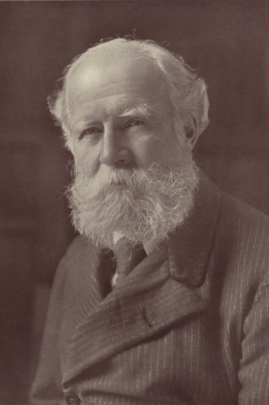 Lord Avebury (černobílá fotografie) od Reginald Haines