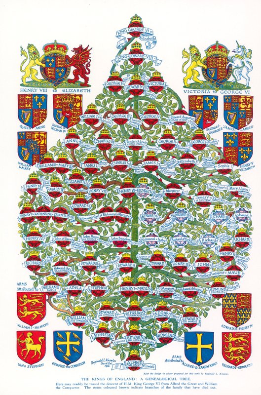 The Kings Of England, A Genealogical Tree (barevná litografie) od Reginald & Horace (1884 1954) Knowles
